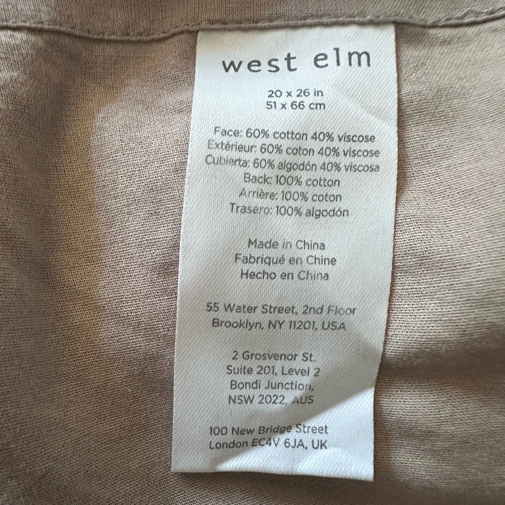Pair of West Elm Shams